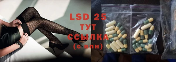 гашик Ветлуга